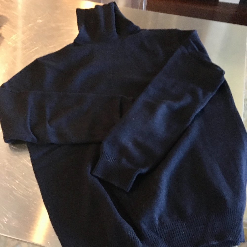 J.Crew Wool Turtleneck in Navy